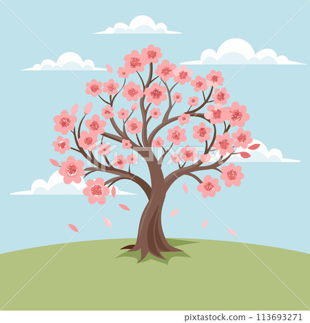 Beautiful cherry blossom tree with pink flowers. Sakura illustration. Vector 113693271