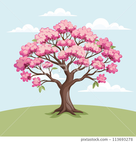 Beautiful cherry blossom tree with pink flowers. Sakura illustration. Vector 113693278