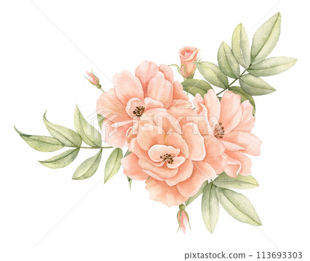 Watercolor Rose Flowers in pastel peach pink colors. Hand drawn floral illustration for wedding invitations or greeting cards on isolated background. Corner botanical composition with green leaves. 113693303