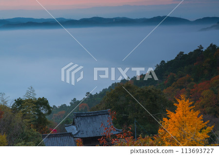 Photographing autumn leaves at Tokonagesan Senjuji Temple, a temple located in the mountains in Hiedano-cho, Kameoka City 113693727