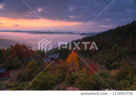 在位於龜岡市日枝野町山區的常上山千手寺拍攝秋葉 在位於龜岡市日枝野町山區的常上山千手寺拍攝秋葉 113693756