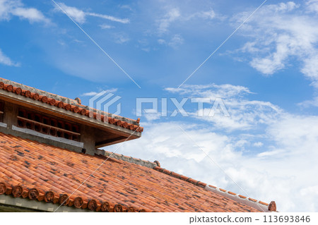 美麗的熱帶屋頂和天空 美麗的熱帶屋頂和天空 113693846