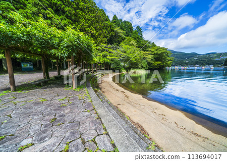 Summer at Onshi Hakone Park: Scenery of the cove of Lake Ashi [Hakone Town, Kanagawa Prefecture] 113694017