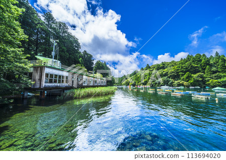 夏天的蘆之湖，藍天白雲，湖畔風景【神奈川縣箱根町】 113694020