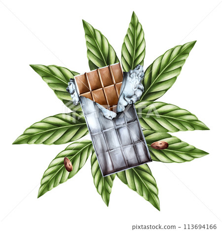 Watercolor composition with chocolate bar in ripped open foil and green leaves. Hand drawn beens, realistic organic superfood illustration isolated on white background. For designers, packaging design Watercolor composition with chocolate bar in ripped open foil and green leaves. Hand drawn beens, realistic organic superfood illustration isolated on white background. For designers, packaging design 113694166