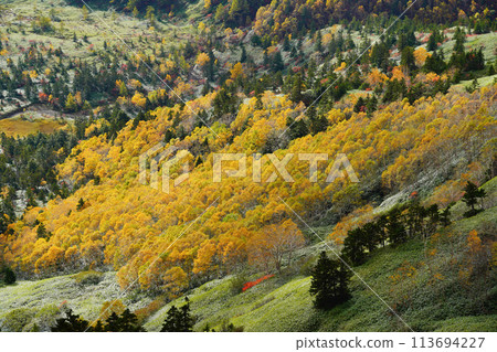 （Gunma Pref。）從Shibuto看到的帶有彩色葉子的Yagahira濕地 113694227