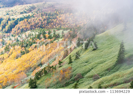 （Gunma Pref。）從Shibuto看到的帶有彩色葉子的Yagahira濕地 113694229