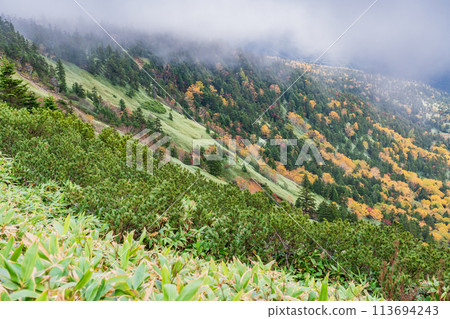 (Gunma Pref.) Yagahira wetland with colored leaves, seen from Shibuto 113694243