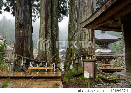 Mount Koya in the rain: Kongo-sanmai-in Temple, Ropponsugi and the Tahoto Pagoda, a national treasure, Wakayama Prefecture Mount Koya in the rain: Kongo-sanmai-in Temple, Ropponsugi and the Tahoto Pagoda, a national treasure, Wakayama Prefecture 113694374