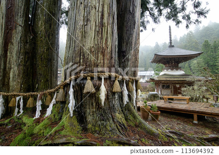Mount Koya in the rain: Kongo-sanmai-in Temple, Ropponsugi and the Tahoto Pagoda, a national treasure, Wakayama Prefecture Mount Koya in the rain: Kongo-sanmai-in Temple, Ropponsugi and the Tahoto Pagoda, a national treasure, Wakayama Prefecture 113694392