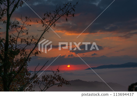 A sea of clouds seen from Senjuji Temple, a temple in the mountains of Hiedano-cho, Kameoka City 113694437
