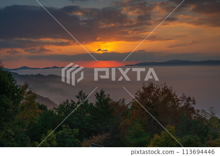 從位於龜岡市日枝野町山間的寺廟千手寺看到的雲海。 113694446