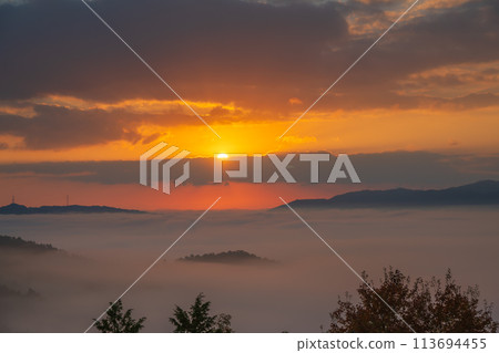 A sea of clouds seen from Senjuji Temple, a temple in the mountains of Hiedano-cho, Kameoka City 113694455
