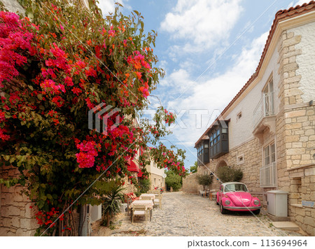 Pink car on a narrow street, Turkey 113694964