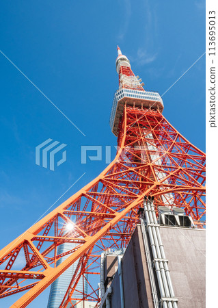 "Tokyo" Clear sky and Tokyo Tower 113695013