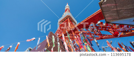 "Tokyo" Carp streamers flying at Tokyo Tower under clear skies 113695178