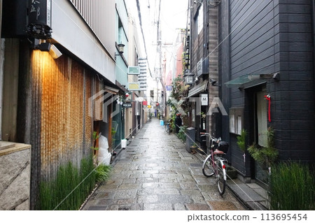 Osaka Hozenji Yokocho 113695454