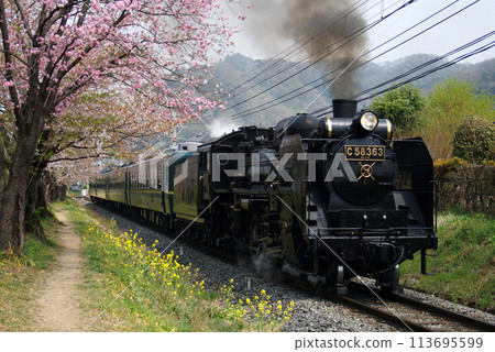 Spring SL Paleo Express Spring SL Paleo Express 113695599