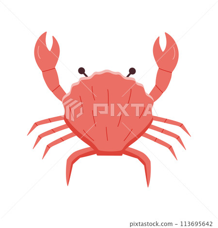 Crab doodle style icon. Vector illustration of river and marine life. Isolated on white delicacies seafood. Crab doodle style icon. Vector illustration of river and marine life. Isolated on white delicacies seafood. 113695642