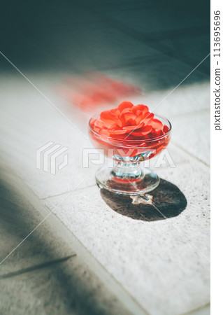 A vibrant red camellia flower floating in a glass vessel A vibrant red camellia flower floating in a glass vessel 113695696