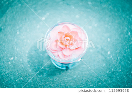 A fantastic pink camellia flower floating in a glass vessel A fantastic pink camellia flower floating in a glass vessel 113695958