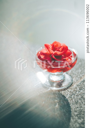 A vibrant red camellia flower floating in a glass vessel A vibrant red camellia flower floating in a glass vessel 113696002