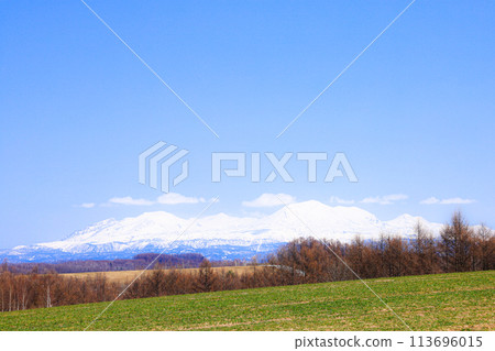 早春從美瑛山看到的大雪山山脈 113696015