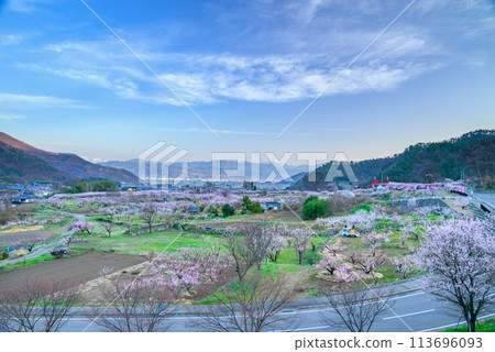 Togakushi mountain range and Chikuma city bathed in morning light [Photo taken from Anzu no Sato, Kamitaira Observatory] 113696093
