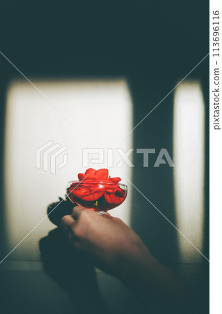 一隻手拿著漂浮在玻璃碗裡的紅山茶花 一隻手拿著漂浮在玻璃碗裡的紅山茶花 113696116