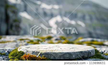 Serene Mountain Slate Display podium 113696631