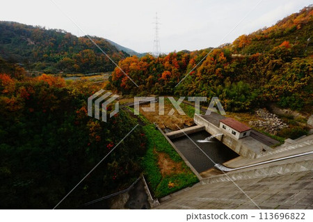 Downstream from the top of Togo Dam 113696822