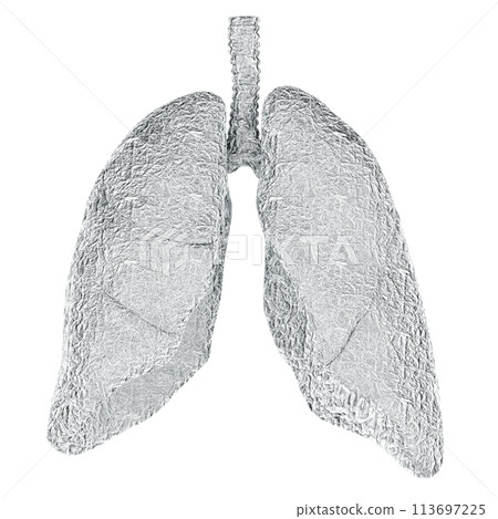 Human lungs wrapped in foil, 3D rendering 113697225