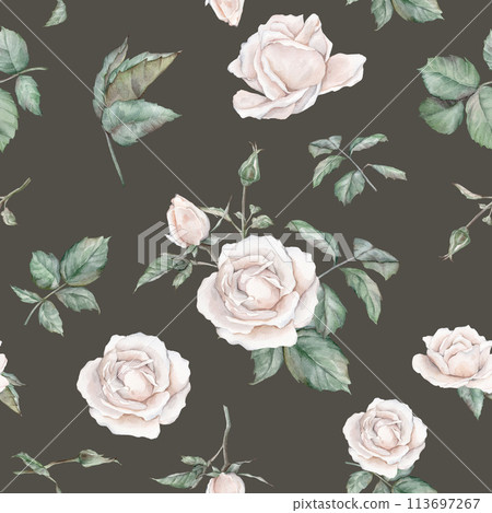 White roses seamless pattern. White roses arrangement. collection garden flowers, leaves. watercolor hand painting illustration on isolate white background. For wedding invitations, anniversary 113697267