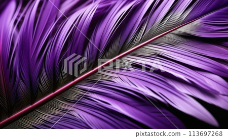 A close-up of vibrant violet feathers, highlighting their intricate patterns and texture 113697268
