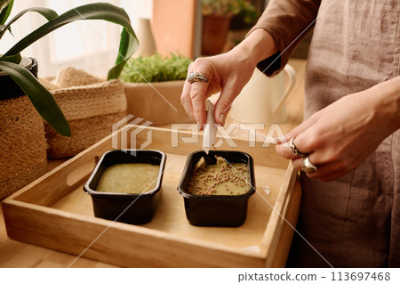 Putting seeds on hydrated sow material Putting seeds on hydrated sow material 113697468
