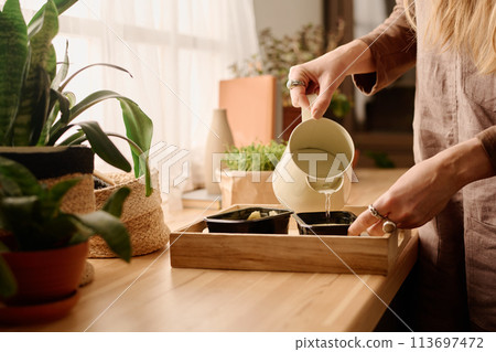 Pouring water into small plastic boxes Pouring water into small plastic boxes 113697472