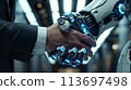 Humanoid hands and human hands hold hands together making an agreement, artificial Intelligence concept 113697498