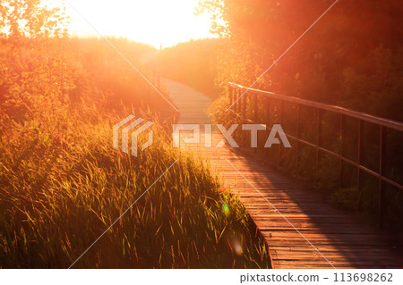 wooden footpath (trail) at sunset (bokeh, blurred background, light flare) wooden footpath (trail) at sunset (bokeh, blurred background, light flare) 113698262