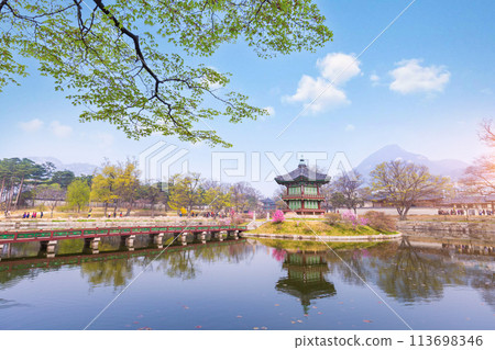 Gyeongbokgung palace in spring time in seoul city of korea, south korea. 113698346