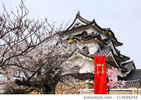 National treasure Hikone castle tower 113699244