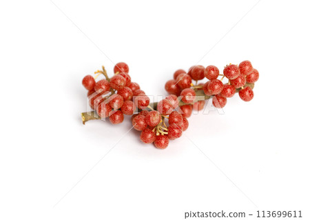 Ripe organic North America Buffaloberry on white background Ripe organic North America Buffaloberry on white background 113699611