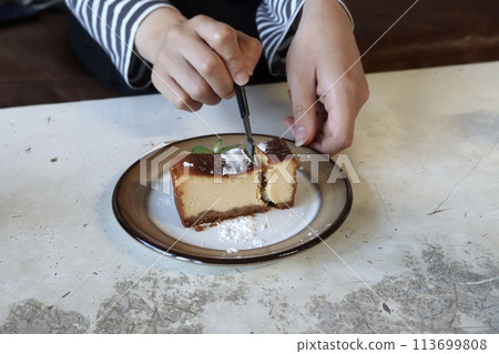 Caramel cheesecake 113699808