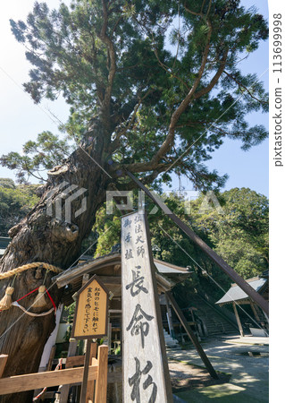 [No. 2 Fudasho] Gokuraku Temple Chomeisugi [88 places in Shikoku] 113699998