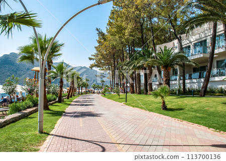 Seaside promenade in a resort town, lined with palm trees and pine trees 113700136