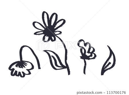 Set of ink brush abstract flower sketches isolated on white 113700176
