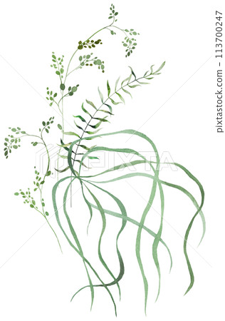 Bouquet with Watercolor fern twigs with green leaves isolated illustration, botanical wedding Bouquet with Watercolor fern twigs with green leaves isolated illustration, botanical wedding 113700247