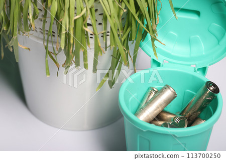 Used finger batteries in a miniature trash can. There is sluggish grass nearby. Close-up. 113700250