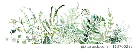 Border with Watercolor fern and botanical green leaves isolated illustration, wedding 113700252