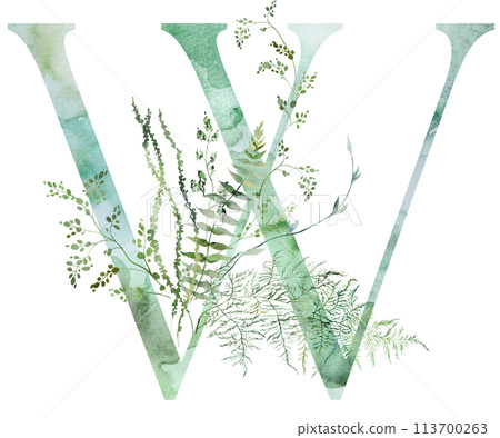 Green letter W with Watercolor whimsical tender leaves isolated illustration, wedding element 113700263