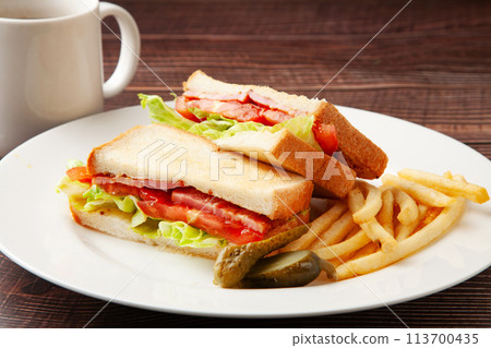 BLT sand 113700435